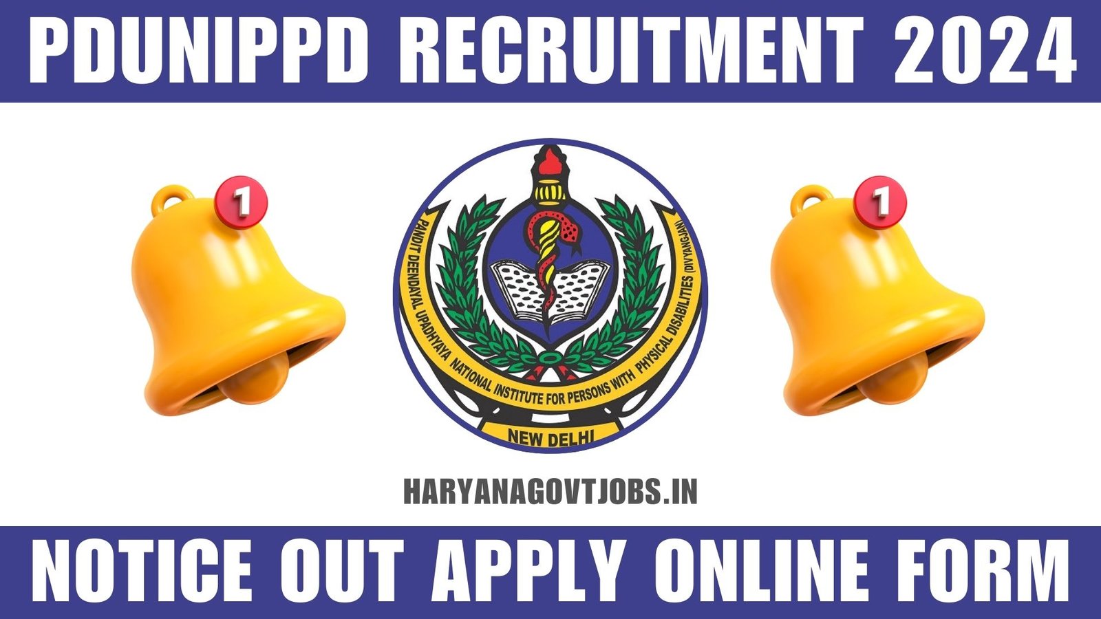 PDUNIPPD Recruitment 2024 Notice Out Apply Online Form